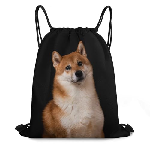 [STEBVI] WTbN Č  킢 В v[obO ibvTbN V[Y[ ̑ e ܂ j X|[c AEghA   s jp