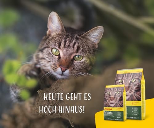 JOSERA NatureCat (1 x 2 kg) | Adult | Premium Trockenfutter für ausgewachsene Katzen | Lachs & Geflügel | erlesene Kräuter & gesunde Früchte | getreidefrei | Katzenfutter | 1er Pack