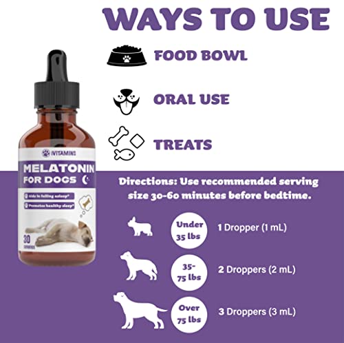 Melatonin For Dogs | Dog Melatonin | Melatonin For Dogs Sleep | Sleep Aid For Dogs | Dog Sleep Aid | Dog Calming | Calming For Dogs | Dog Calming Treats | Dog Anxiety Relief | 2 Pack: 60 Servings #TOP5