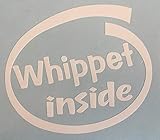 Whippet - Adesivo per finestrini e cani, in tutti i colori