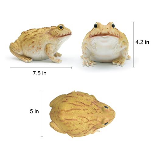 African Bullfrog Frog Toad Outdoor Decoration Statue (Plus Size),Fairy Garden Accessories Decorations，Bullfrog Outdoor Art Decorations Statues, Garden Lawn And Courtyard Decoration Sculptures #TOP5