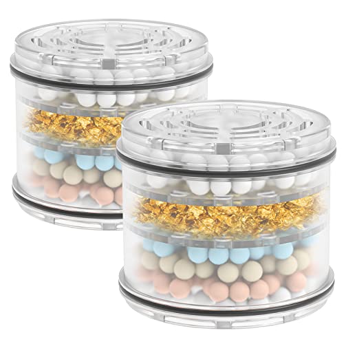 MakeFit Ersatzkartusche für Duschkopffilter H5H117 (2er-Pack)