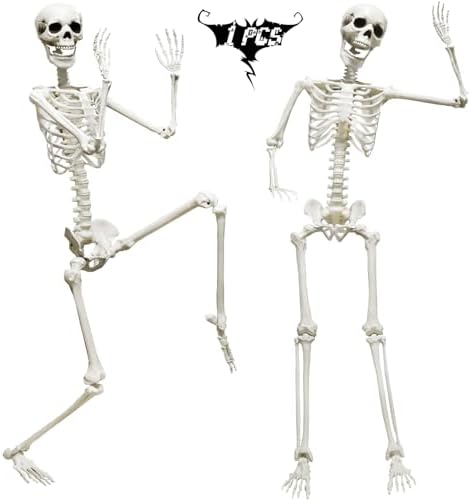 CAMIRUS 5.9FT/185cm Skeleton Halloween Full Size, Life Size Skele...