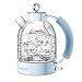 Bollitore Acqua Elettrico, ASCOT Bollitore Elettrico in Vetro, 2200W, 1.6L, Spegnimento Automatico, Protezione Boil-dry, Niente Plastica BPA-Free Teiera