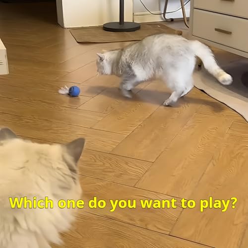 Balle automatique pour chat interactif Power Ball 2.0 rouge - 7