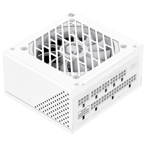 Amazon.com: GAMEMAX GS Series SFX Power Supply 650W, Full