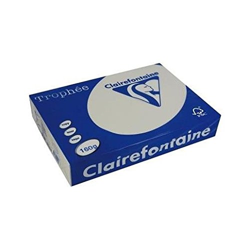 Papier A4 160g 210x297 mm GRIS perle Lot de 4 Ramettes Certifié FSC