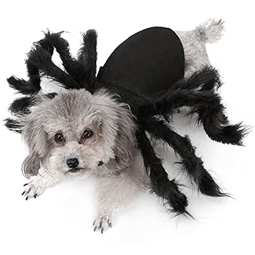 LOVIVER Spinnenhund Kostüm für Halloween Party - Hund Kostüm für Teddy, Mops, Chihuahua, Shih Tzu, Yorkshire Terrier