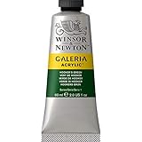 pintura acrilica verde manzana Pintura acrílica brillante y luminoso para artistas profesionales, también para principiantes y estudiantes