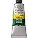 Produktbild Winsor & Newton 2120311 Galeria Acrylfarbe, hohe Pigmentierung, lichtecht, buttrige Konsistenz, 60 ml Tube - Hooker´s Grün