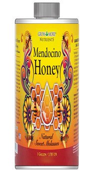 12/cs Mendocino Honey Qt