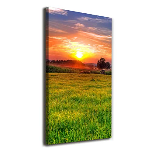 Tirages sur toile Tulup 60x120 avec image sur toile de paysage sunset orange de salon