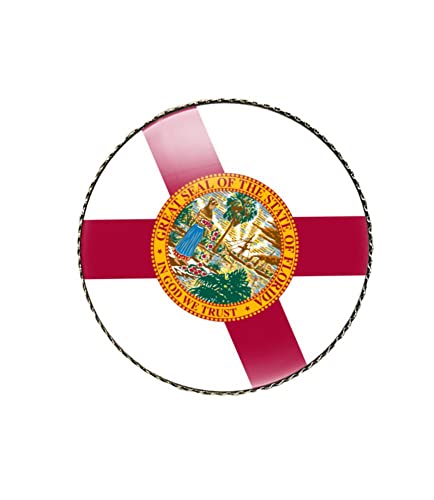 Image of vmcoatdu Round 1 Inch South Carolina Flag Pin Brooch Metal and Inlay Glass Revivalism Style Souvenir Badge Brooch for Hat Clothes Backpack