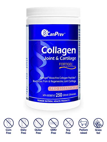CanPrev Collagen Joint & Cartilage - 250g Powder - 50 Servings - Hydrolyzed Protein Peptides Types I & III for Joint, Bone, Skin & Nail Support - Paleo/Keto, Gluten Free, GMO Free - Image 3