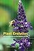 Plant Evolution: An Introduction to the History of Life