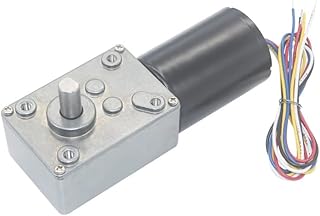 Davitu DC Motor - 5840-3650 DC Brushless Motor Worm Geared Motor - (Speed(RPM): 12v 20rpm, Voltage(V): Package1)