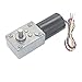 Davitu DC Motor - 5840-3650 DC Brushless Motor Worm Geared Motor - (Speed(RPM): 12v 20rpm, Voltage(V): Package1)