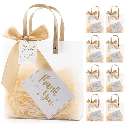 ARPOVIST 12 Pack Clear Plastic Gift Bags with Handles, 7.9" x 7.9" x 3.1" Party Favor Bags with Champagne Ribbons and Tags, Reusable Frosted Tote Bags for Candy, Wedding Baby Shower Valentine's Day