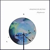 chromosome définition  Chomo Lonzo