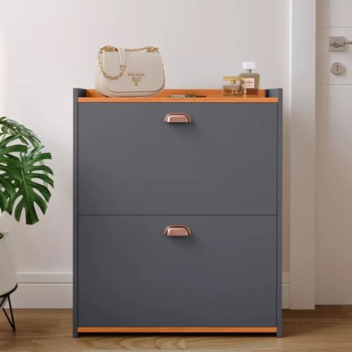 Sapateira Closet 2 Gavetas Basculantes Organizadora 12 Pares Quarto Hall De Entrada Multiuso (Cinza)