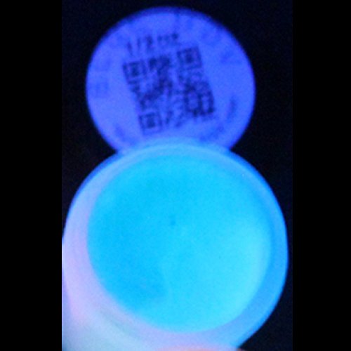 Blue Glow In The Dark Uv Black Light 1Oz, Neon, Rave, Fluorescent, Acrylic Paint #TOP4