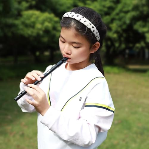 Rayzm Gwizdek blaszany / gwizdek irlandzki, D-Key 6-otworowy aluminiowy gwizdek grosza dla początkujących (czarny)