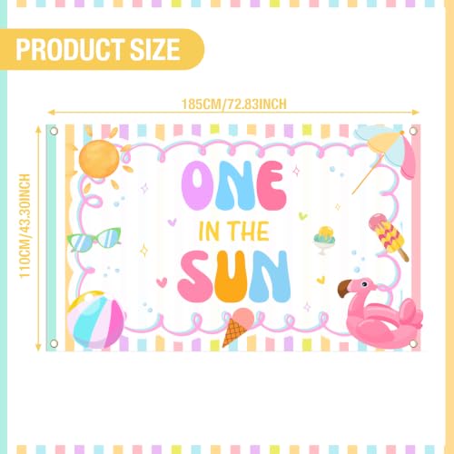 First Trip Around The Sun 1st Birthday Decorations, One in The Sun Backdrop, Beach Pool Theme Birthday Decorations, Sunshine Baby First Birthday Party Supplies by LUXLYNN - Used condition - Image 2