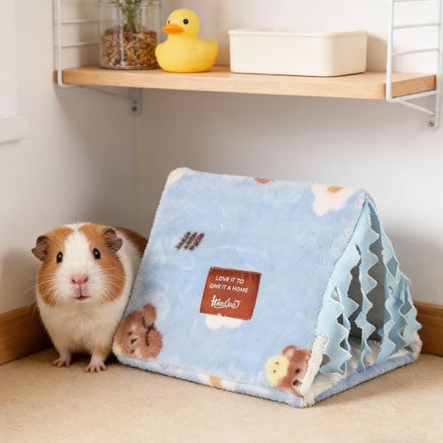 Accessoires pour cage à lapins et tunnel d'exploration bleu pour grand cochon d'inde