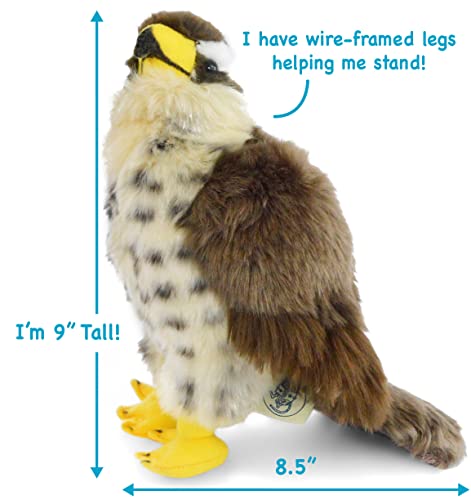 Viahart Percival The Peregrine Falcon - 9 Inch Stuffed Animal Plush - By Tiger Tale Toys #TOP3