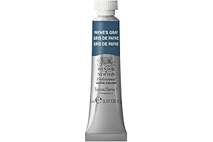 Winsor & Newton Professional Watercolor, 5ml (0.17-oz) Tube, Payne's Gray