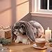 JolliLudo Eater Dutch Lop Eared Rabbit Ornament Cute Stuffed Animal Fluffy Rabbit Animal Realistic Bunny Cute Stuffed for Xmas Gift Friends 9.8 Inches(Soft,1 Pcs)