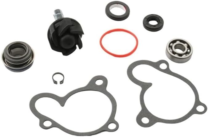 Water Pump Repair Kit for Vt250 Lo 250 300 Ke300 Mn Pd Sr 250cc 4T