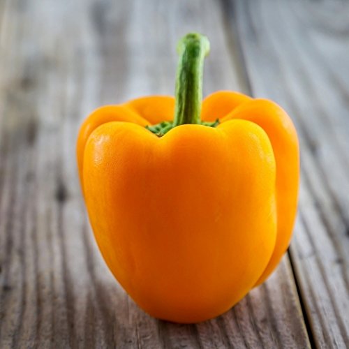 Creative Farmer Vegetable Seeds Hybrid Imported Capsicum California Wonder Garden Seeds For Balcony 20 Seeds Kitchen Garden Seeds Pack (B078R64VMS) Amazon Price History, Amazon Price Tracker