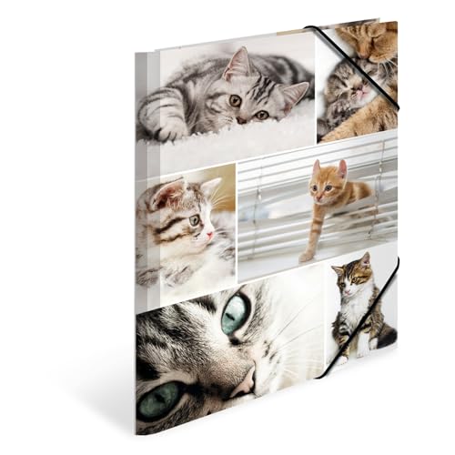 HERMA Sammelmappen A4 Katzen Set, 3 Stück, Kinder Eckspanner-Mappen aus Pappe mit Tier Motiv, Gummizug, Innenklappen und Innendruck für Jungen und Mädchen