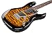 Ibanez GRX70QA RG Gio Electric Guitar - Sunburst Bundle with Amp, Gig Bag, Tuner, Cable, Picks, Austin Bazaar Instructional DVD, and Polishing Cloth