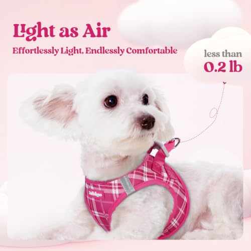 Image of rabbitgoo Dog Harness Small Sized and Leash Set, Step-in Puppy Pet Vest