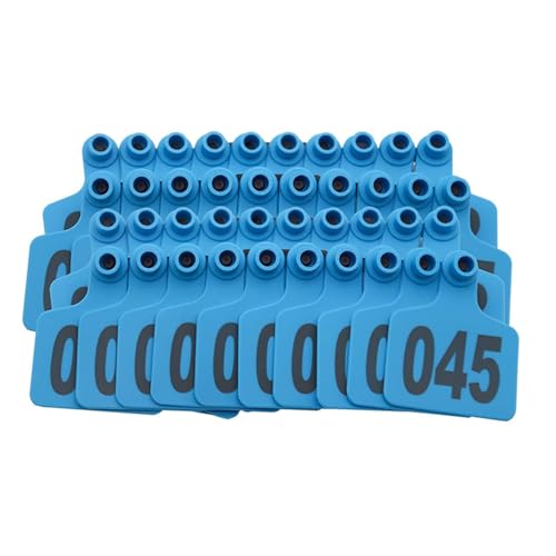 SNQIAN AHtu4ZLYm-Blue-ek5I