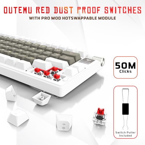 Image of EvoFox Ronin Mechanical Keyboards Wireless(BT+2.4GHz+Wired) | 9 Layer Gasket Structure, Outemu Red Switches, Per-Key RGB, 1000Hz, nKey Rollover, Volume Controller | Windows Software (White)