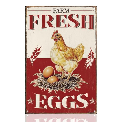 DOODLREAM Décor mural Ferme - Œufs frais pour la cuisine - Décoration en métal tôle de style rétro pour poulailler - Décoration murale pour maison, boutique de ferme, magasin, marché - 20,3 x 30,5 cm