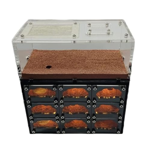 PIPONS Ameisenfarm Nistkasten, Klassische Ameisenburg Beton Ameisennest Schwarzes Loch Nest Ameisenfarm Ameisennest Farm Mit USB-Ladekabel Ameisenhaus