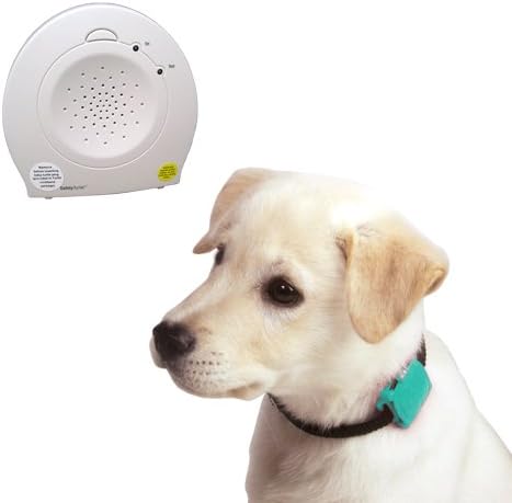 Safety Turtle Pet Immersion Pool/Water Alarm Kit - Green