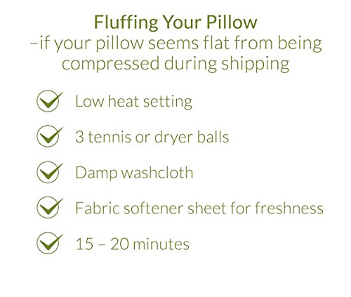 Pacific Coast Feather Around Pacific Coast Double Downaround Down And Feather Pillow With Cotton Cover, Queen, White #TOP5