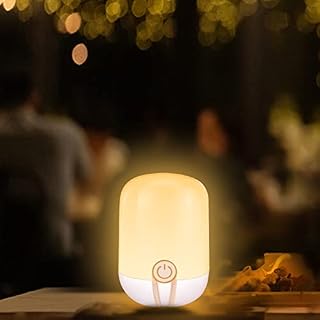 LETOUR LED Night Light, Bedside Lamp USB Rechargeable Touch Lamp Dimmable Table Night Light Kids Portable Lamp for Kids Bedroon,Living Room