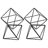 BESTonZON Geometric Air Plant Hangers 4 Pack Black Iron Metal Air Plant Holder Modern Geometric Display for Tillandsia Succulent Living Room Office