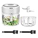 Produktbild Maexus 2 In 1 Elektrisch Zerkleinerer(250ml & 100ml), Elektrisch Zwiebelschneider mit 2 Stk. Reinigungsbürsten Mini Knoblauchhacker Zerkleinerer Küche Elektrisch für Fleisch, Obst, Gemüse
