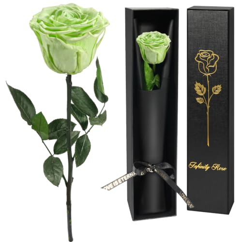 Yamonic Preserved Flowers Rose Birthday Gifts for Women,Mothers Day Rose Flowers Gifts for Mom, Real Flower Mom Gifts for Grandma, Christmas,Valentine's Day Girlfriend,Wife