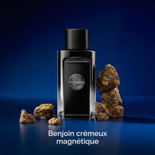 The ICON by Antonio Banderas Eau de Perfume for Men - Long Lasting - Virile, Elegant, Trendy and Sexy Scent - Wood, Amber, and Sandalwood Notes - Ideal for Special Events - 100ml – vue 7