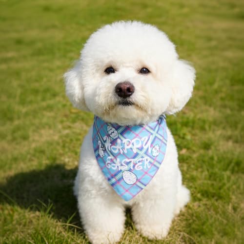 Disfraz de conejo de Pascua para perros pequeños y medianos miniatura 6