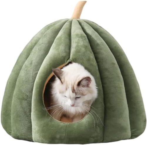 YIJOFU lR񂪗h[^̃ybgnEX ybg nEX ybgxbh CY  L h[^ 킢 @  p ~ ~ H  Ck lR h ybgnEX ΍ (50*50*40,O[