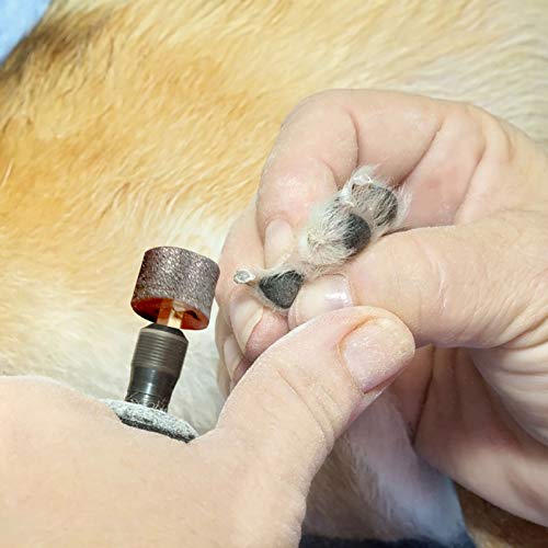 Balacoo 5 peças de substituição para triturador de unhas de animais de estimação para cães, gatos, a